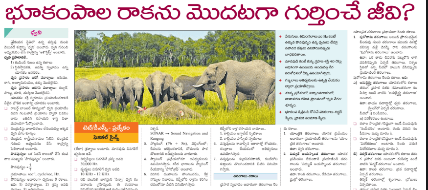 AP & TS Education Paper 12-02-2025 Download Here | Eenadu Prathibha, Sakshi Bhavitha