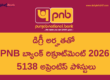 PNB Bank Apprentices Recruitment 2026