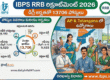 IBPS RRB Recruitment 2026 - Apply Online for 13706 Posts